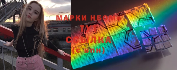 индика Бугульма